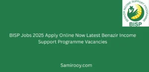 BISP Jobs 2025 Apply Online Now Latest Benazir Income Support Programme Vacancies